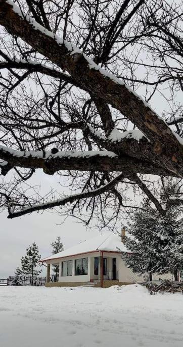 Villa Kavicshaz Vlahita Exterior foto